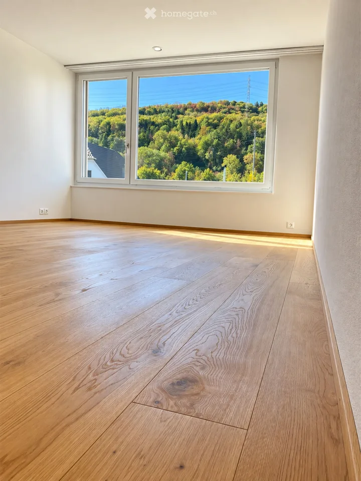 Helle 3.5-Zimmer-Wohnung mit Balkon und Rheinblick in Mumpf