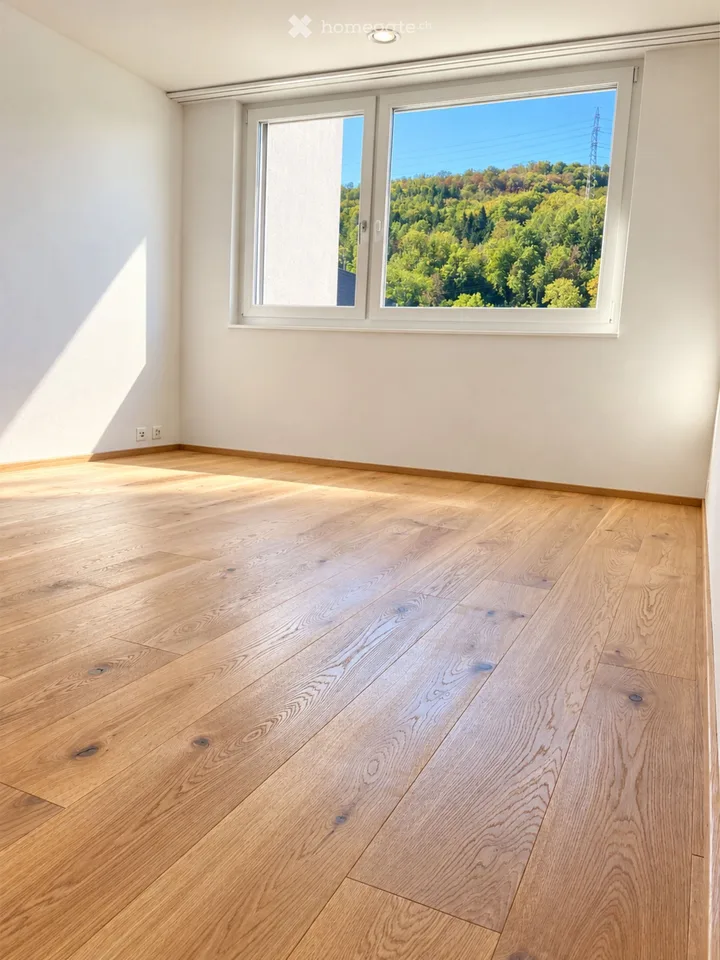 Helle 3.5-Zimmer-Wohnung mit Balkon und Rheinblick in Mumpf