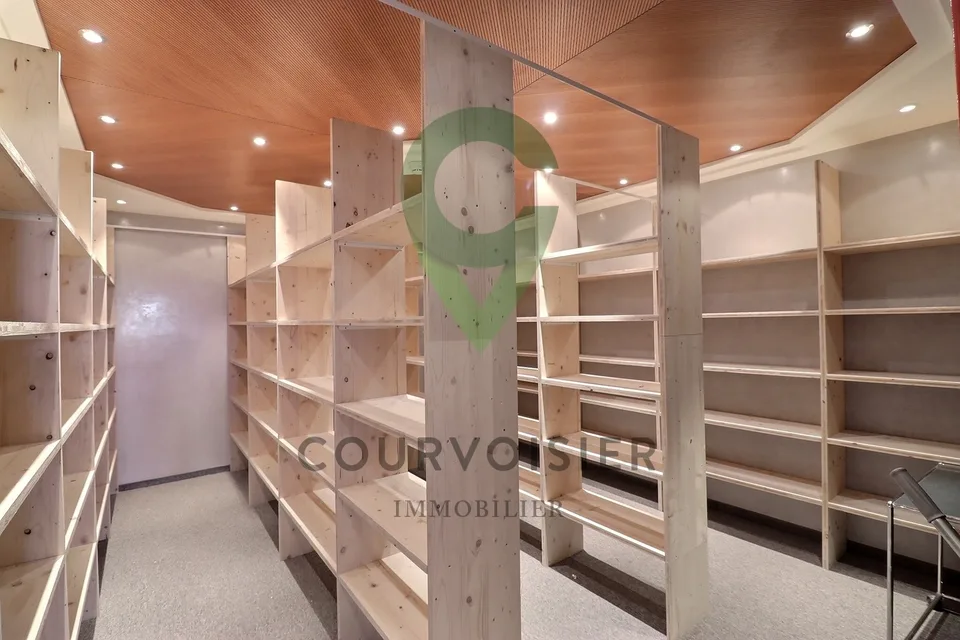 VOS NOUVEAUX LOCAUX DANS LA ZONE DE LA PLAINE DE L'ASSE À NYON – foto 12 di 13