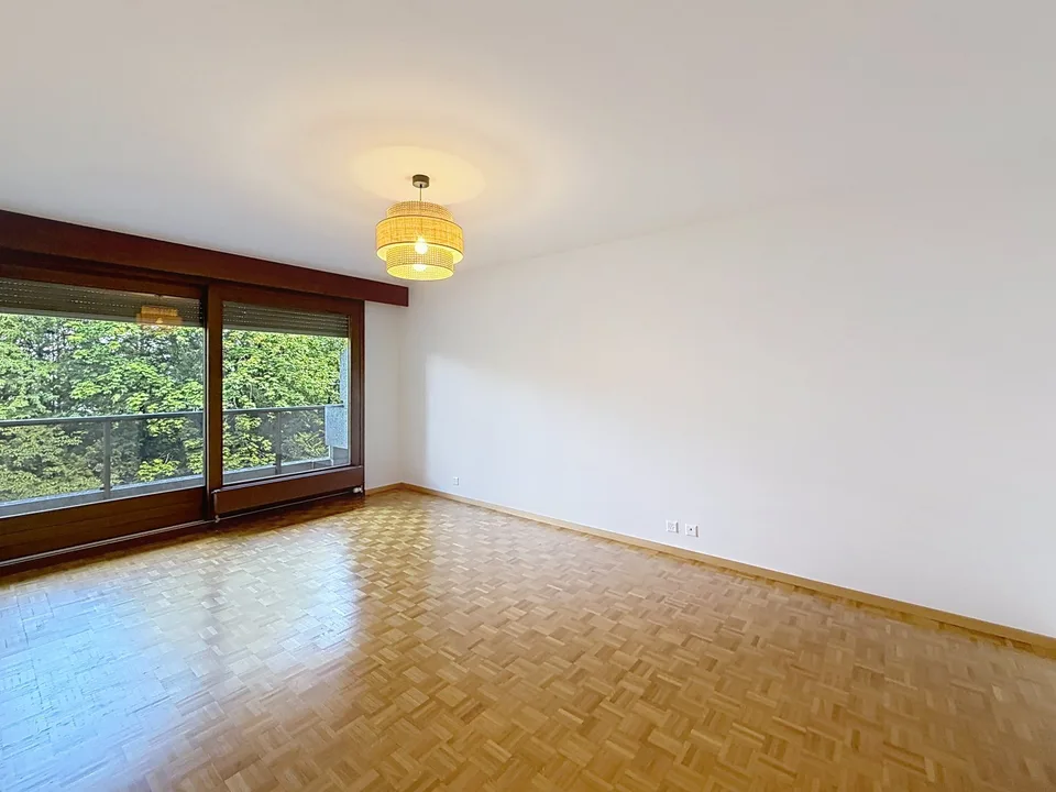 Spacious 5-Room Apartment with Indoor Pool Access in Florissant, Geneva – photo 5 sur 13