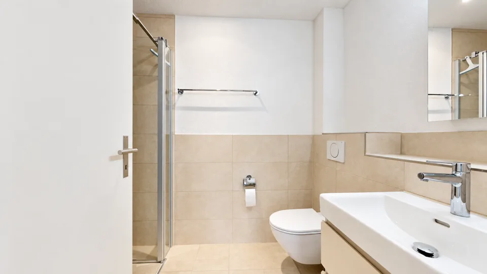 Ampio appartamento di 4.5 locali con terrazza di 56 m² – foto 10 di 11