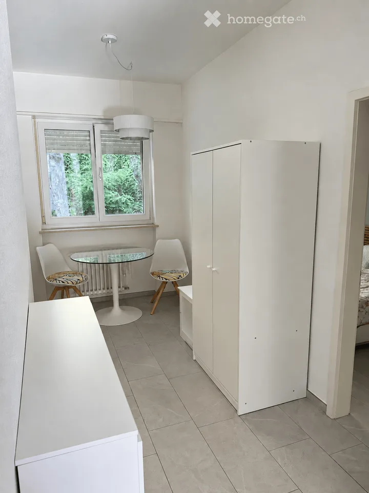 Charmant appartement 3.5 pièces à Lugano – Disponible à partir du 1er novembre