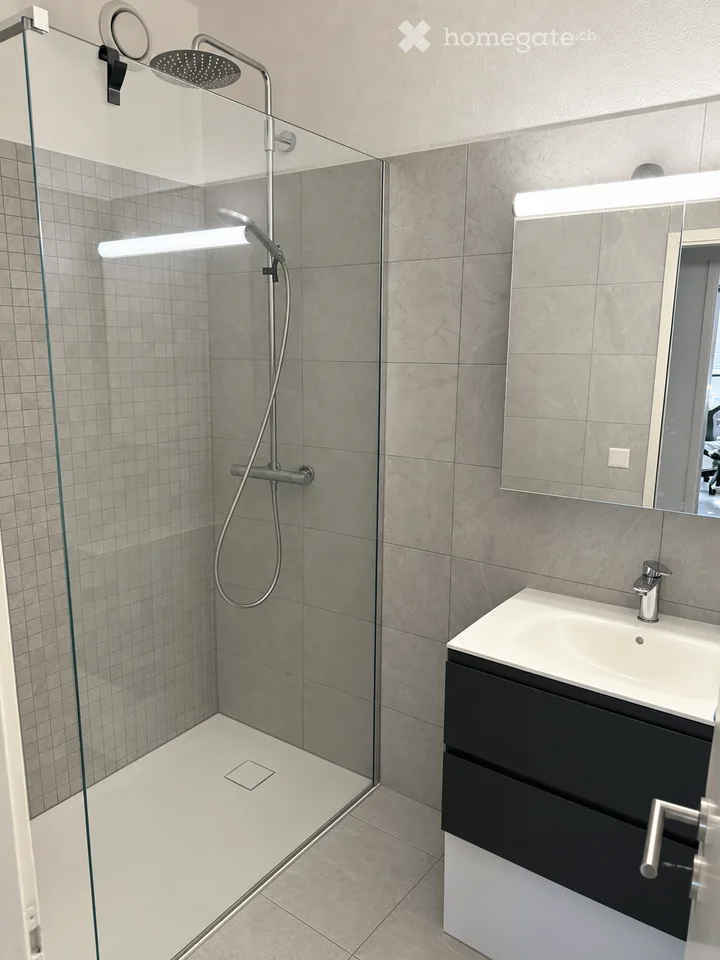 Charmant appartement 3.5 pièces à Lugano – Disponible à partir du 1er novembre