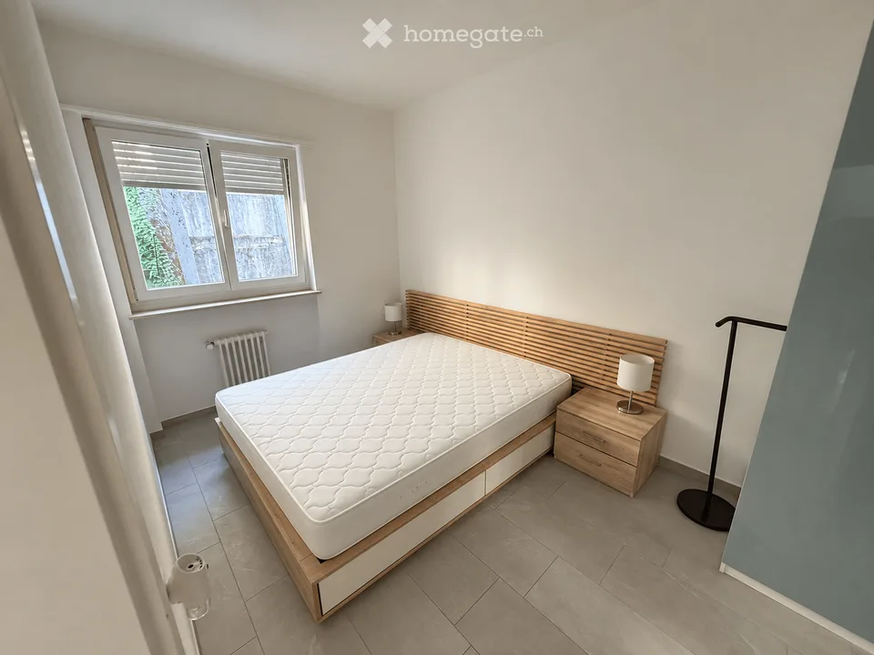 Charmant appartement 3.5 pièces à Lugano – Disponible à partir du 1er novembre