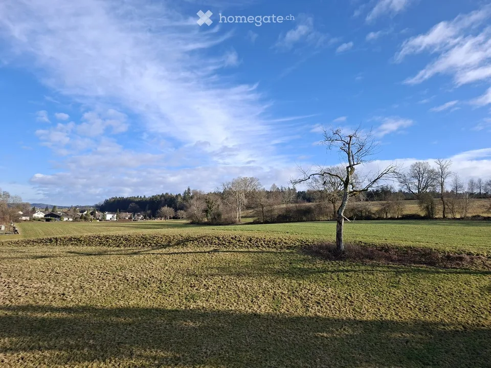 Appartement ensoleillé de 3,5 pièces avec balcon et vue magnifique à Busswil BE