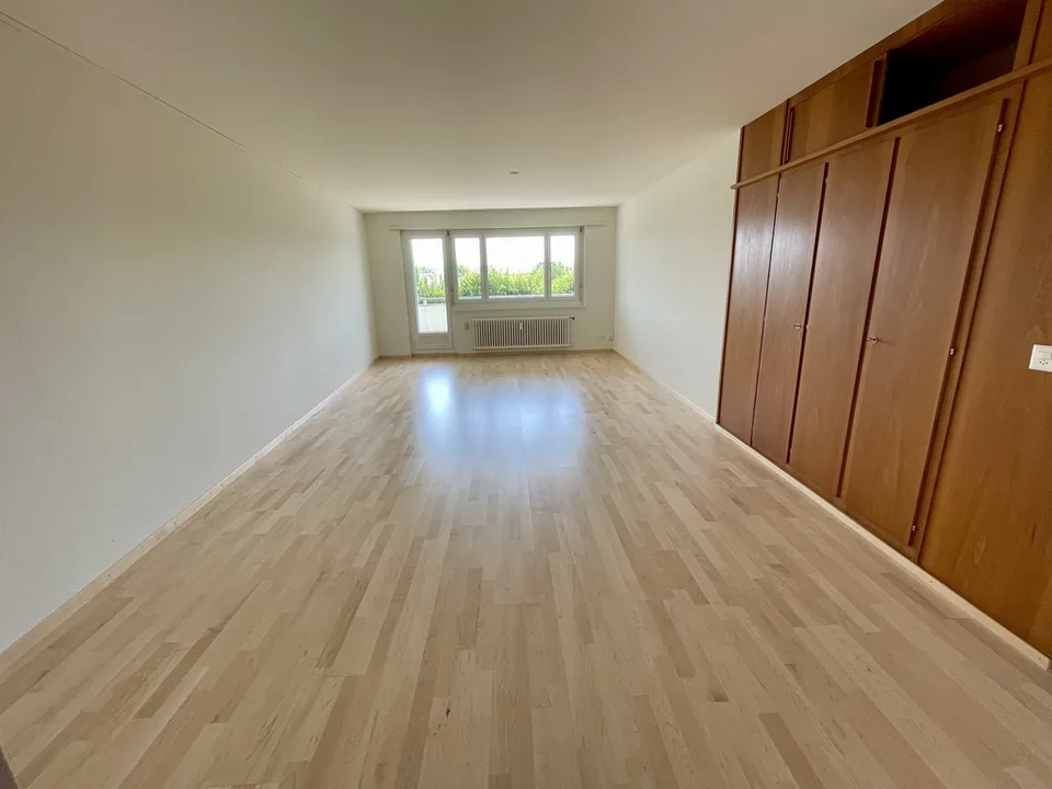 Bello appartamento 3.5 locali a Meisterschwanden