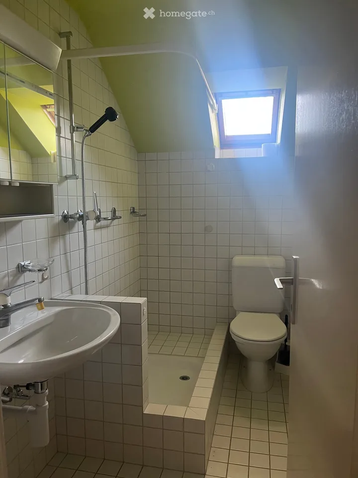 4-Zimmer-Wohnung in 2-Familienhaus mit Balkon / 3-Zimmer-Wohnung mit direktem Gartenabgang