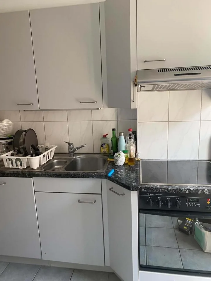 Nel cuore del quartiere Seefeld di Zurigo, distretto 8 – foto 5 di 7