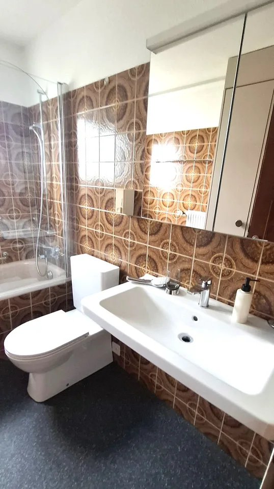 Casa familiare di 5 locali a Schlieren – disponibile per affitto immediato – foto 10 di 17