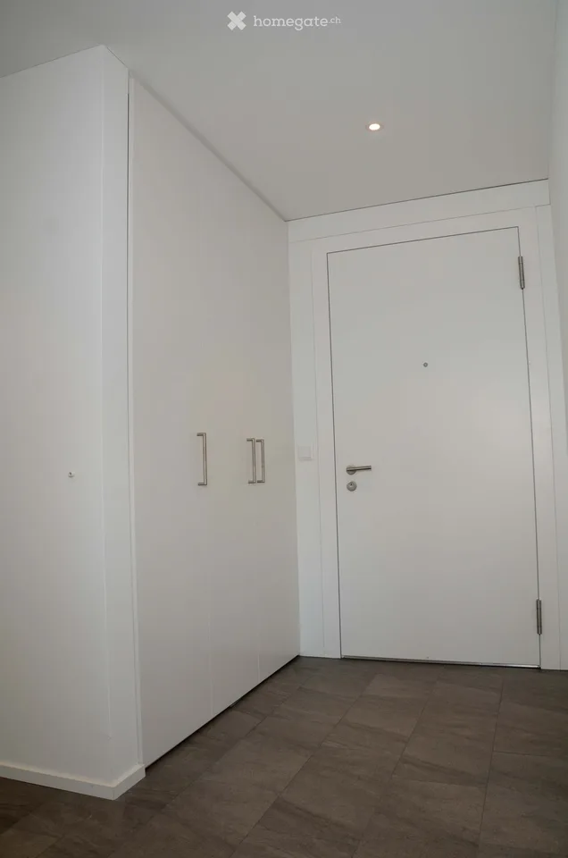3.5-room attic apartment in new building (2021) for rent, living area 109 m2