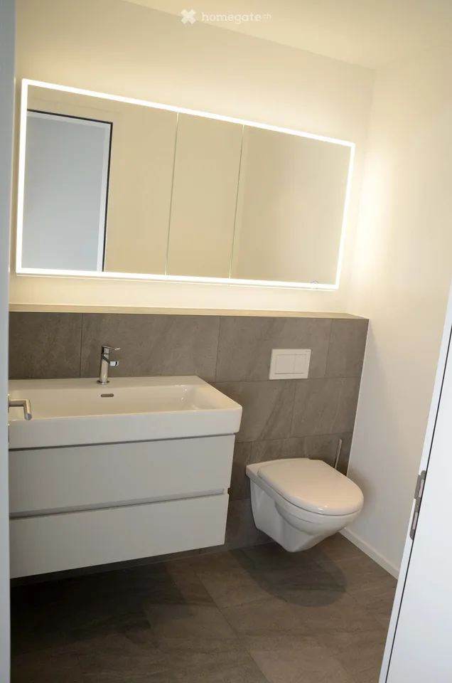 3.5-room attic apartment in new building (2021) for rent, living area 109 m2