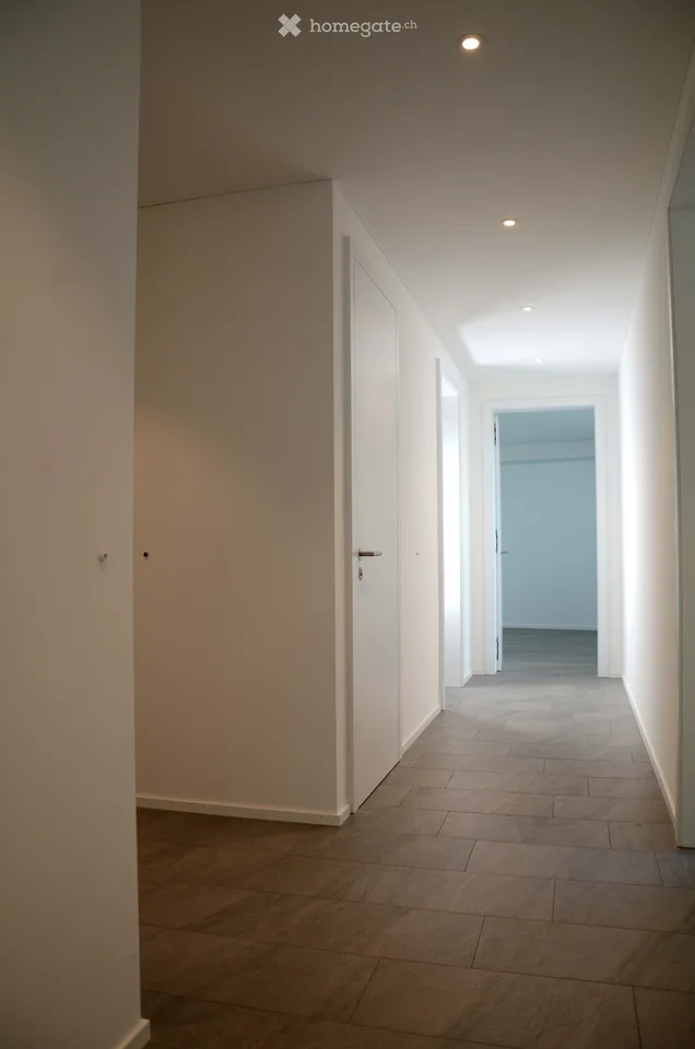 3.5-room attic apartment in new building (2021) for rent, living area 109 m2
