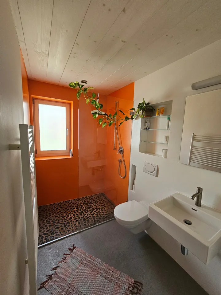 Chambre en colocation à Nänikon