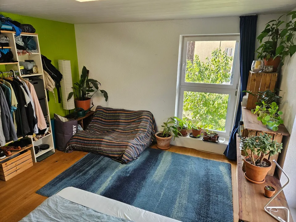 Chambre en colocation à Nänikon