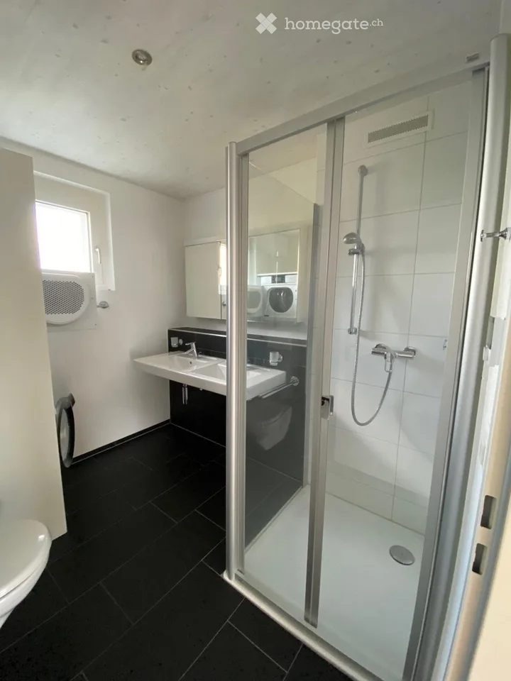 4.5-Zimmer Attikawohnung in Villmergen