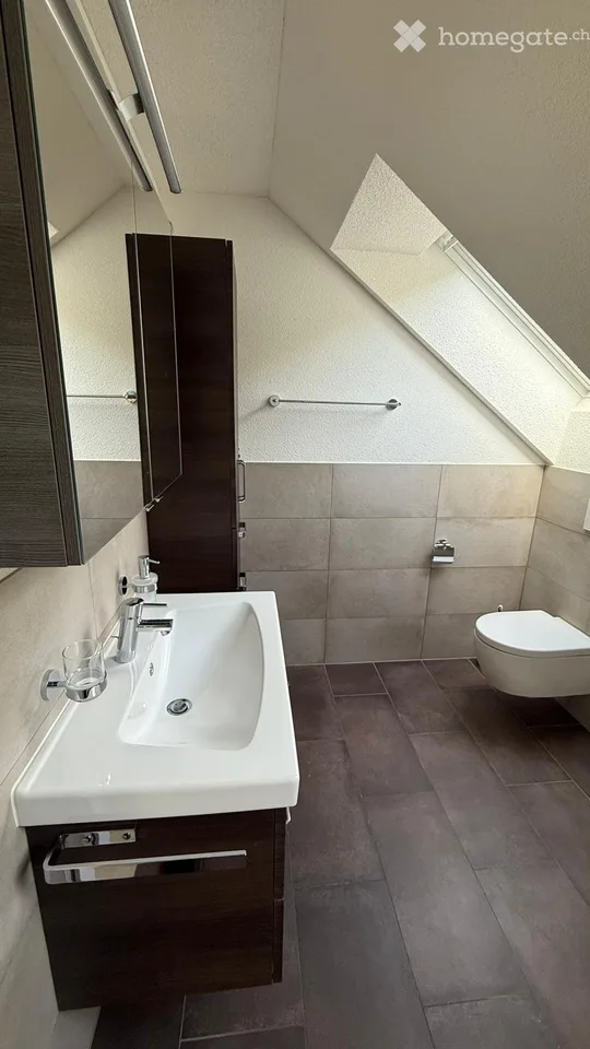 WG-Zimmer im Villenviertel mit herrlicher Alpensicht! 7 min Velo zum Bahnhof Olten (30min ZH/BE/BAS)