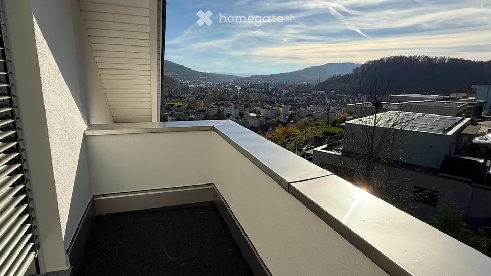 WG-Zimmer im Villenviertel mit herrlicher Alpensicht! 7 min Velo zum Bahnhof Olten (30min ZH/BE/BAS)