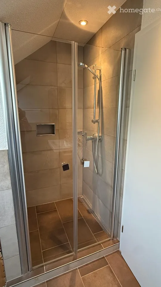 WG-Zimmer im Villenviertel mit herrlicher Alpensicht! 7 min Velo zum Bahnhof Olten (30min ZH/BE/BAS)
