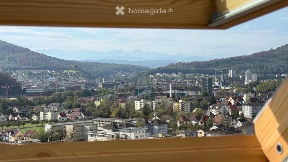 WG-Zimmer im Villenviertel mit herrlicher Alpensicht! 7 min Velo zum Bahnhof Olten (30min ZH/BE/BAS)