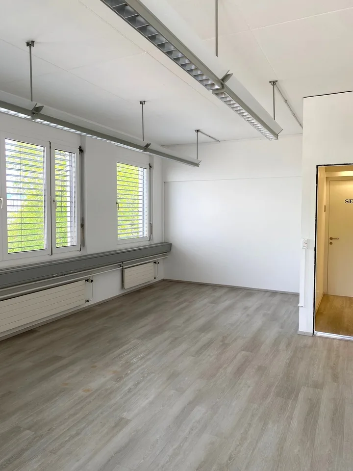 Spazio ufficio attraente nella zona industriale di Harzach – foto 3 di 4
