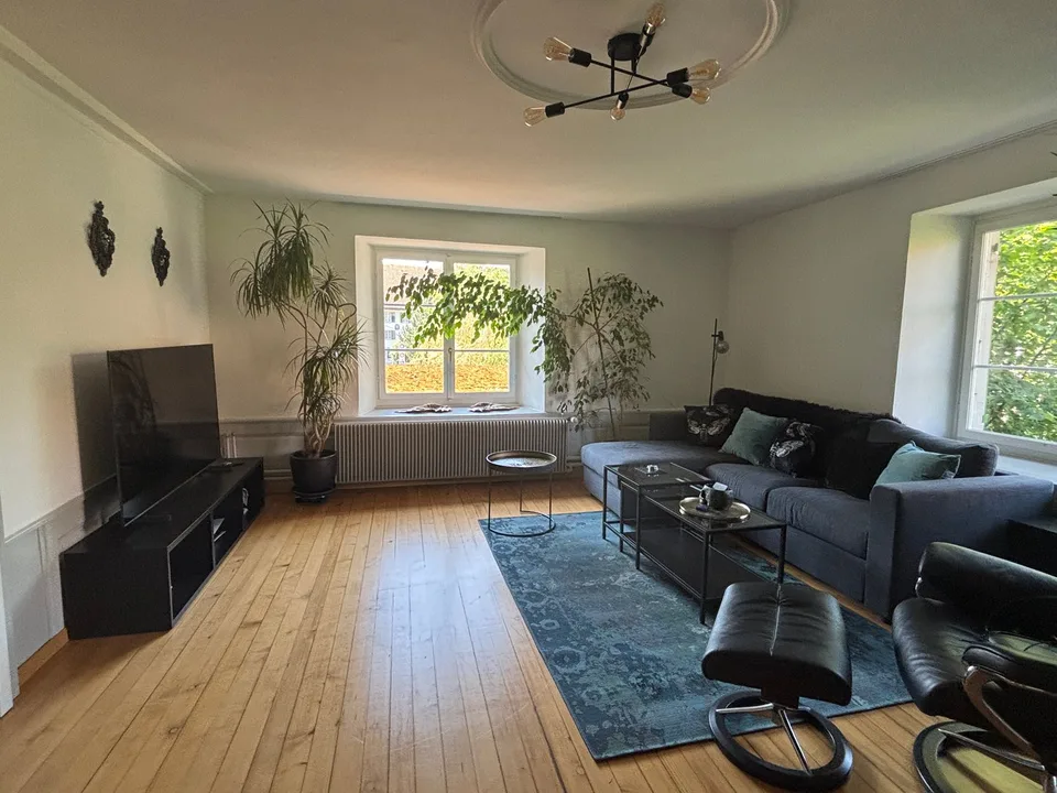Casa di 3 famiglie sul ruscello del villaggio – foto 11 di 16