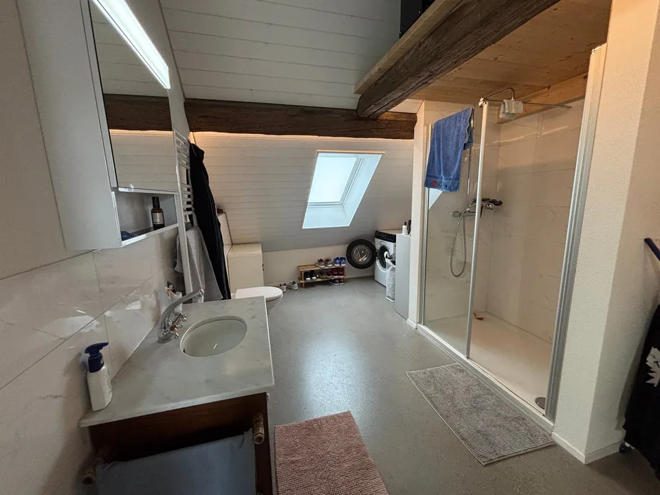 Casa di 3 famiglie sul ruscello del villaggio – foto 16 di 16