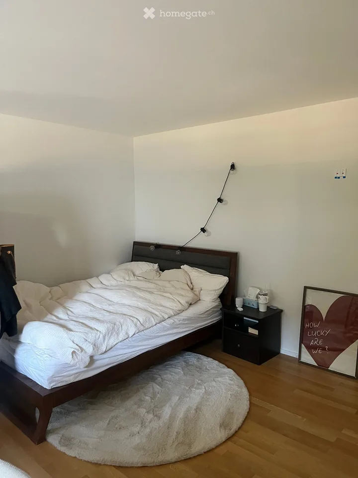 Charming 1.5-Room Apartment in Fribourg – Quiet & Bright