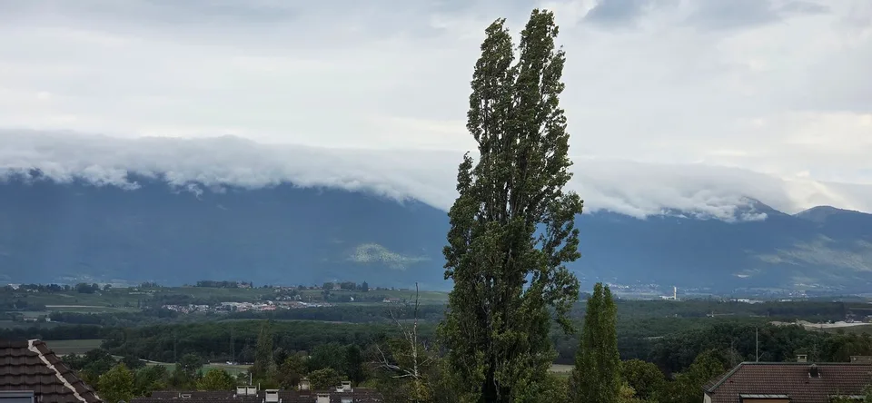 Superba attica di 7,5 locali a Bernex – foto 2 di 14