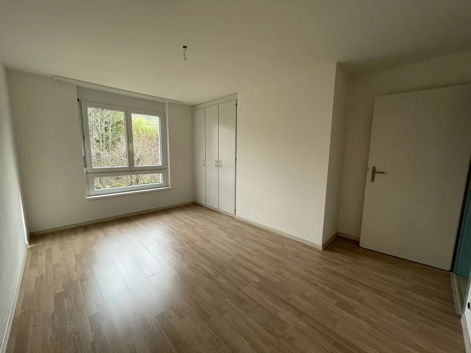 Appartamento di 4 camere in affitto a Hölstein