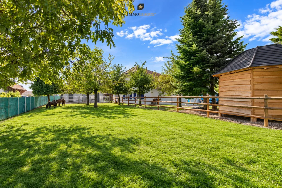 Votre rêve de vie à la campagne : Maison de campagne exclusive avec écurie pour chevaux et espaces ouverts. – photo 4 sur 9