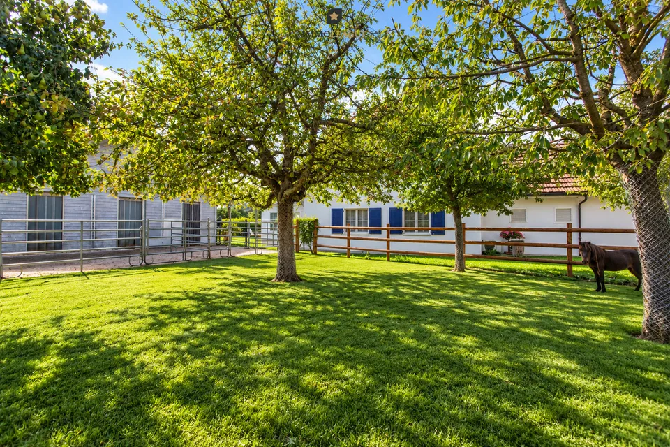 Votre rêve de vie à la campagne : Maison de campagne exclusive avec écurie pour chevaux et espaces ouverts. – photo 6 sur 9