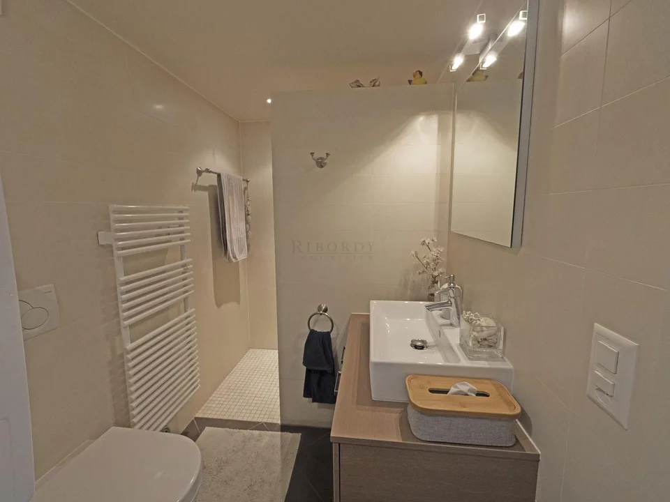 Maison bourrée de charme et de cachet à Certoux – photo 7 sur 13