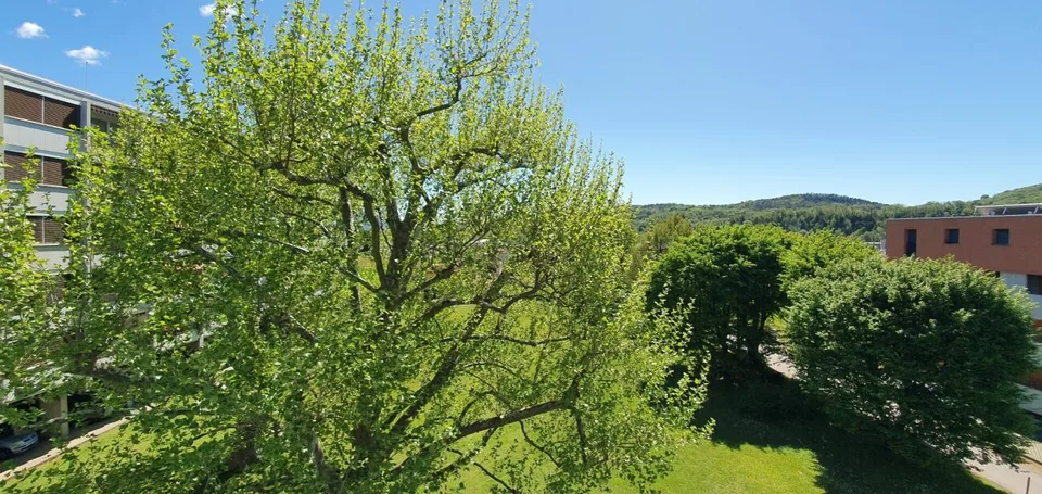 Stabio: appartement dans le vert et dans la tranquillité – photo 15 sur 15