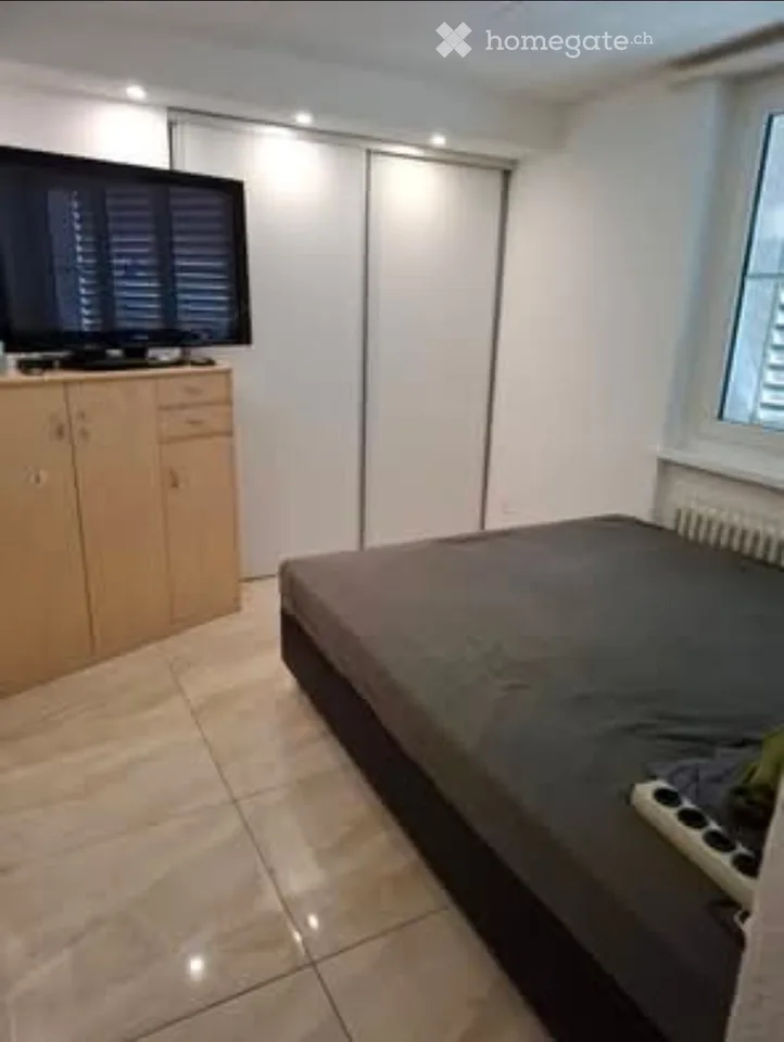 Appartement 2.5 pièces avec jardin à Zihlschlacht