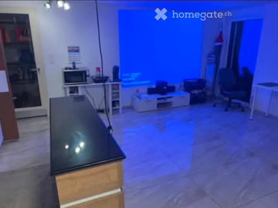 Appartement 2.5 pièces avec jardin à Zihlschlacht