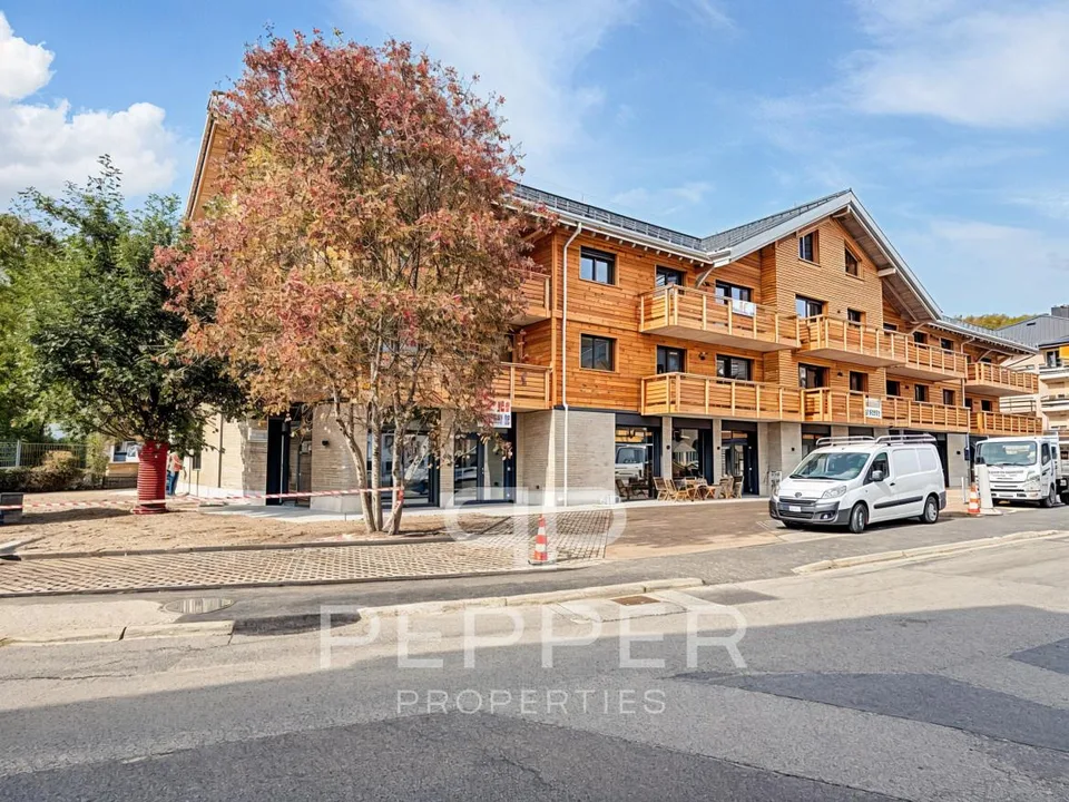 Rez-de-jardin rare au coeur de Saint-Cergue – photo 12 sur 46