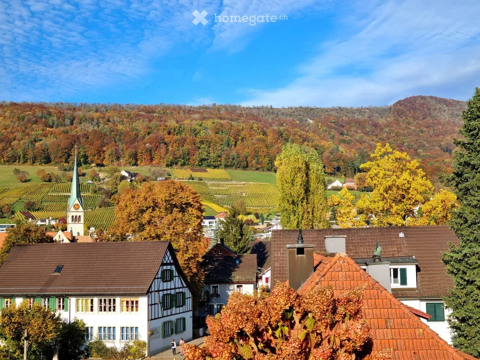 Helle Attikawohnung mit schöner Aussicht, grosser Terrasse und Garten über den Dächern von Wettingen – Foto 5 von 18