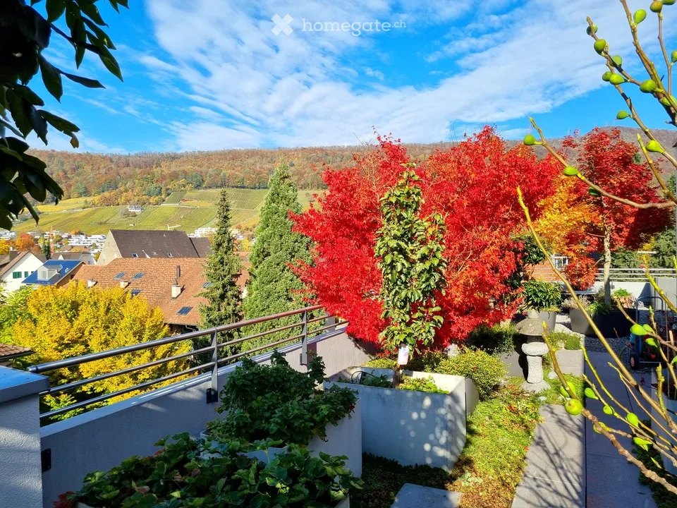 Helle Attikawohnung mit schöner Aussicht, grosser Terrasse und Garten über den Dächern von Wettingen – Foto 2 von 18