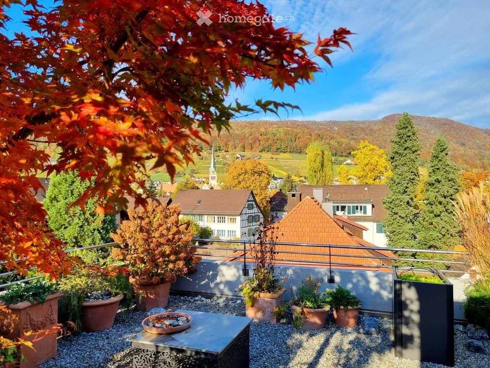 Helle Attikawohnung mit schöner Aussicht, grosser Terrasse und Garten über den Dächern von Wettingen – Foto 3 von 18