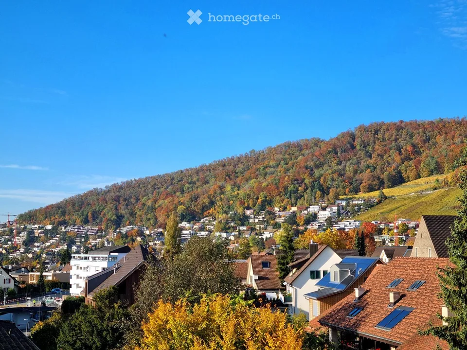 Helle Attikawohnung mit schöner Aussicht, grosser Terrasse und Garten über den Dächern von Wettingen – Foto 4 von 18
