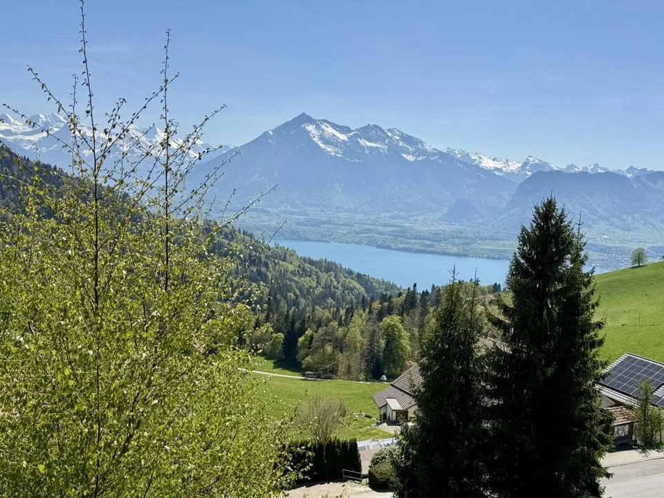 Casa di campagna 7,5 locali, vista lago sopra la linea della nebbia – foto 25 di 25