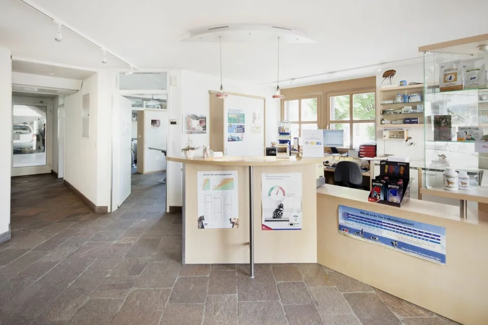 Maison unifamiliale spacieuse avec locaux commerciaux – photo 8 sur 12