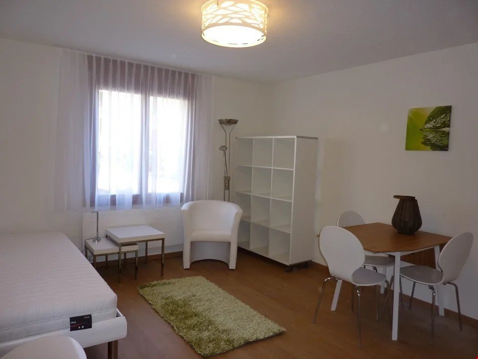 Appartamento Monolocale - Arredato e Attrezzato - Moderno