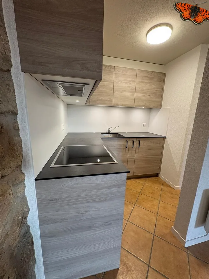 APPARTEMENT DUPLEX DE 2 ½ PIECES A ROMONT !