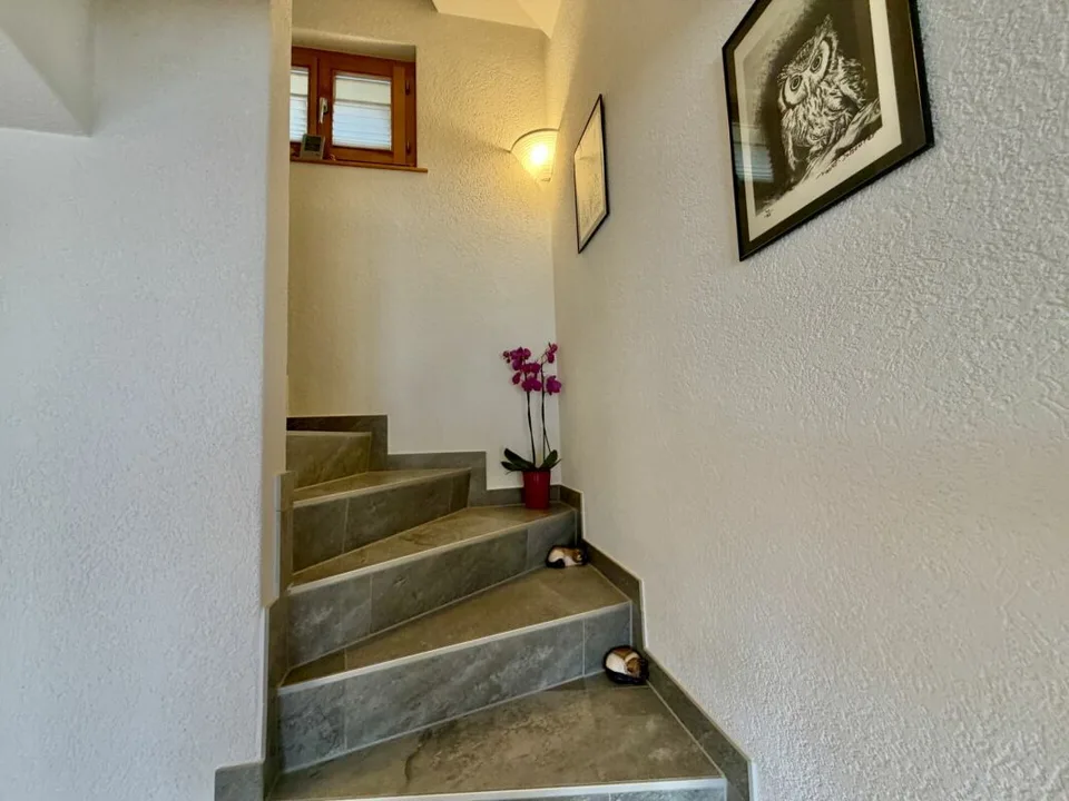 5.5 Zimmer Einfamilienhaus in St-Martin VS – Foto 27 von 30