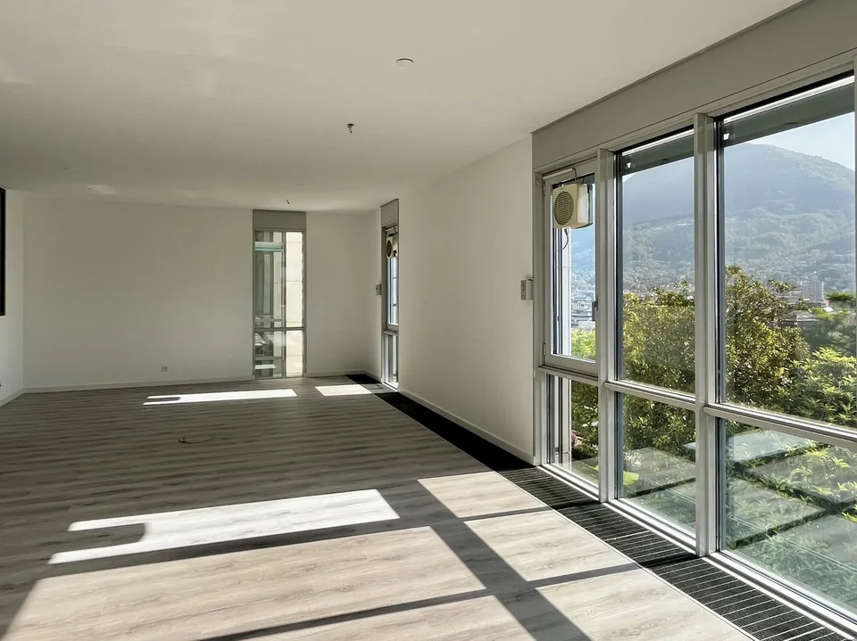 LUGANO - GROßZÜGIGES BÜRO MIT SEEBLICK, 217 MQ – Foto 3 von 13