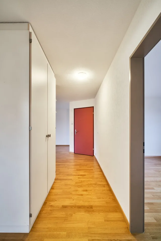 Sunny 3.5-room apartment in Forch