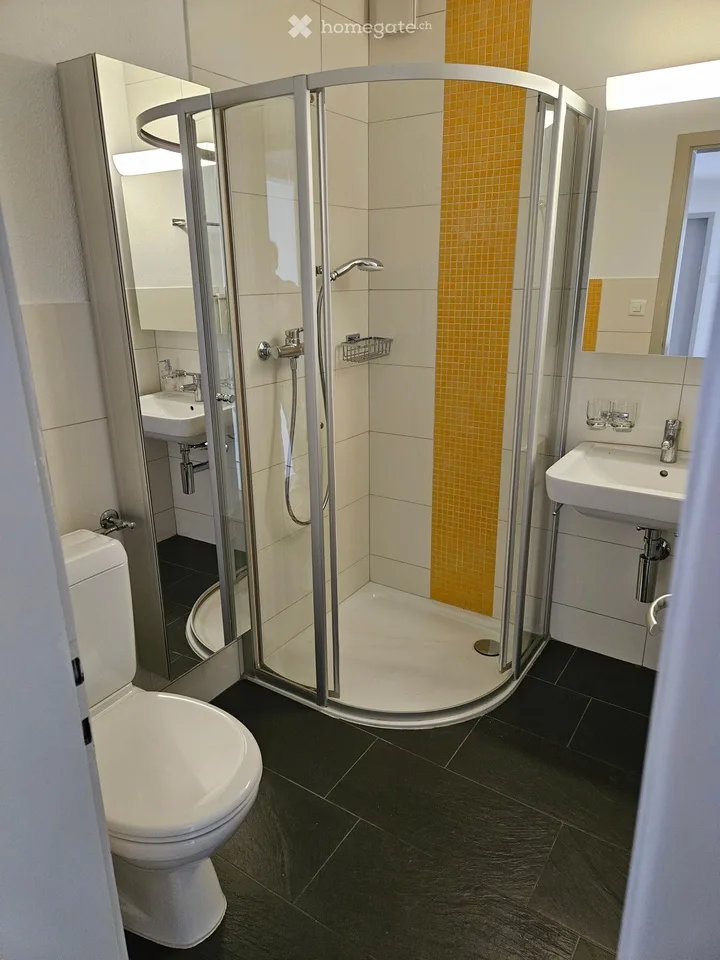 4.5-room apartment in Embrach with large terrace
