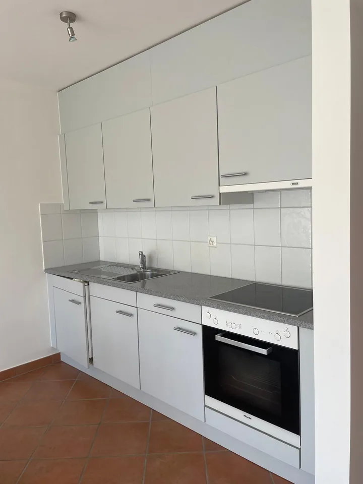 Pregassona – luminoso appartamento di 1 locale con ampio balcone e piscina – foto 3 di 17