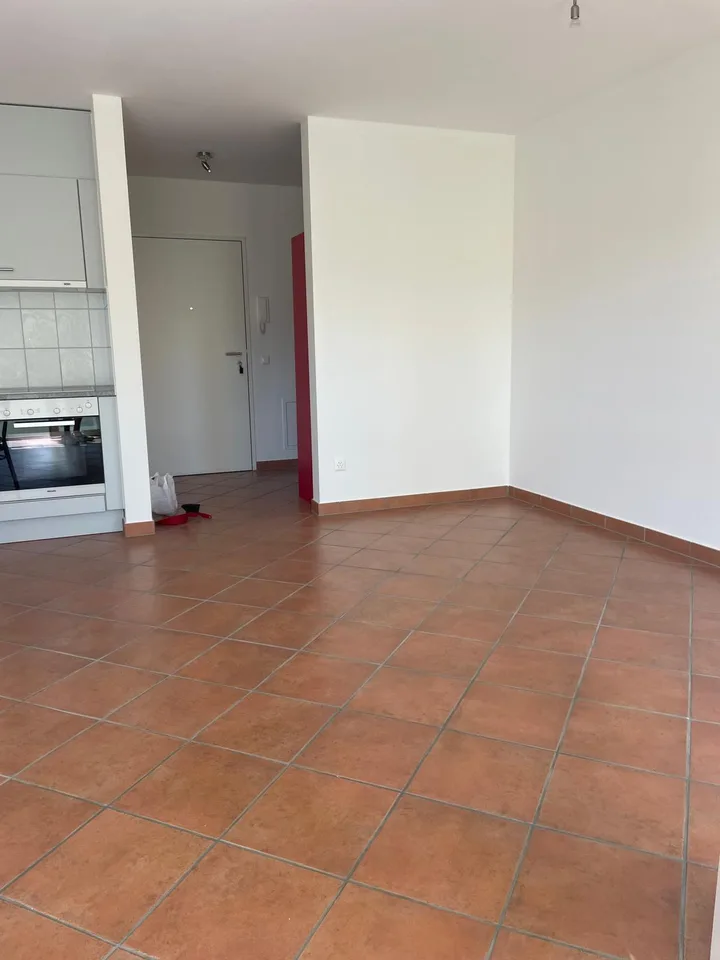 Pregassona – luminoso appartamento di 1 locale con ampio balcone e piscina – foto 4 di 17